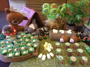 10564920_665720440179639_391650704_n