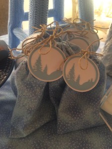 11657421_845931495491865_1826379919_n