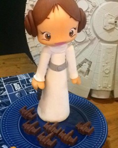 12380210_971623112922702_921765511_n