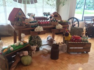 13082087_1002394213178925_259615541_n