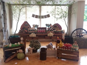 13090140_1002394233178923_1774757946_n