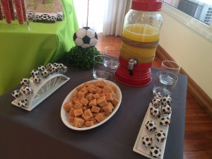 13384941_1027182760700070_1774879850_n