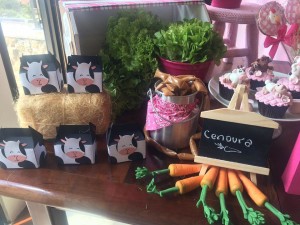 14555651_1130277460390599_771641248_n