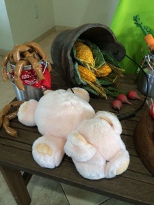 14793908_1129307783820900_1753492225_n