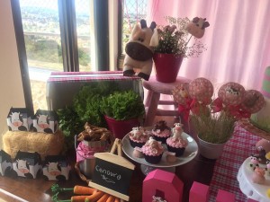 14813677_1130276900390655_1123108581_n