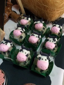 15941908_1213555078729503_432570252_n