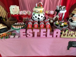 15978159_1213554938729517_1952184634_n