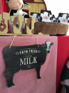 15978775_1213554778729533_378709935_n