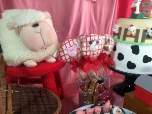 15995595_1213555475396130_21061151_n