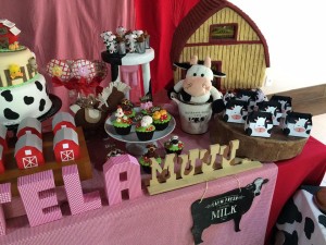 16111454_1213554872062857_2143254779_n