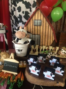 16344113_1230505603701117_693383004_n