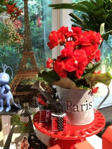 17238716_1274298569321820_825878517_n